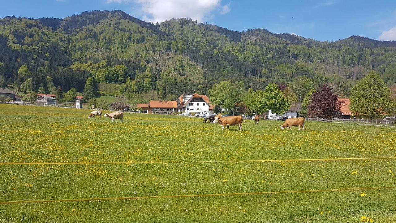 S'Quartier Am Schliersee Eksteriør billede