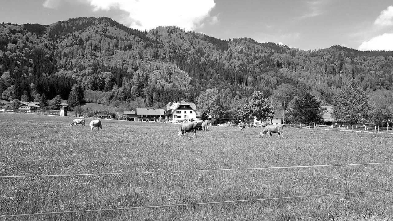 S'Quartier Am Schliersee Eksteriør billede